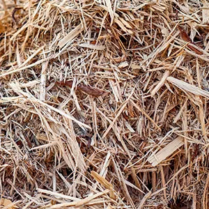 Щепа для арболита оптом в Уссурийске и других различных марок заказать от 16 тонн