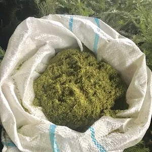 Сосновая мука